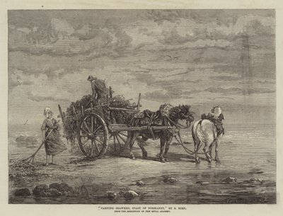 Zeewier vervoeren, kust van Normandië, van de tentoonstelling van de Koninklijke Academie door Samuel C. Bird